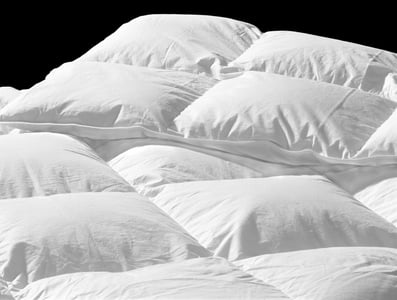 White-duvet